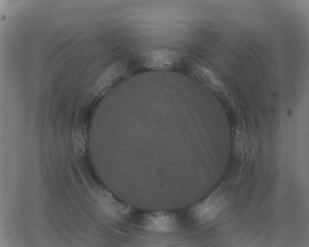 X0000062830370200601201619