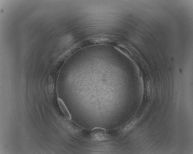 X0000062830372200601201619