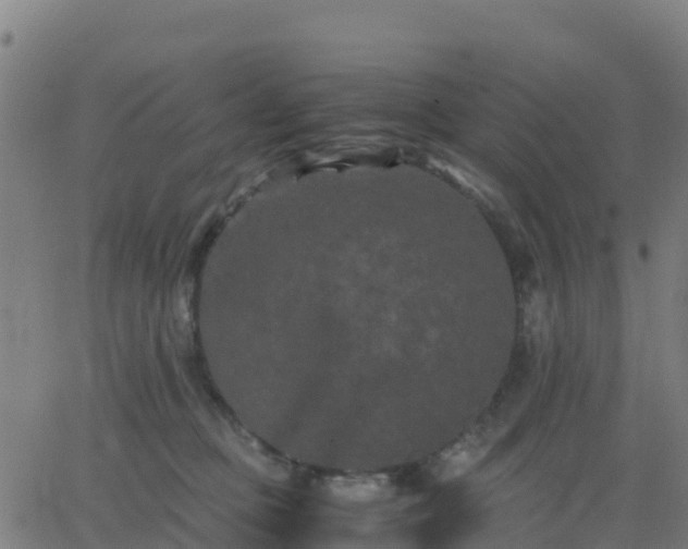 X0000062830373200601201619