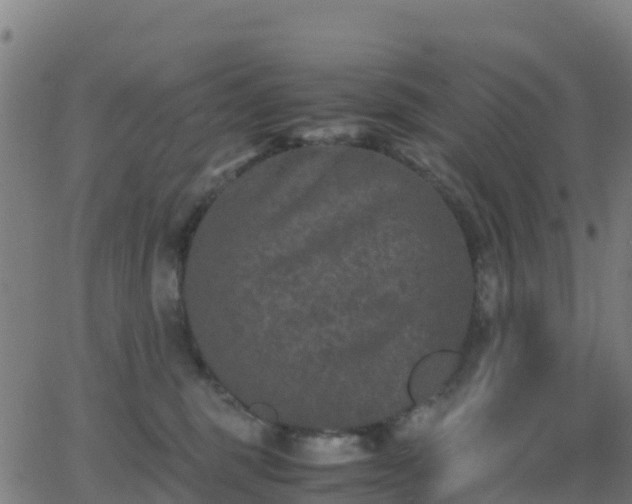 X0000062830375200601201619