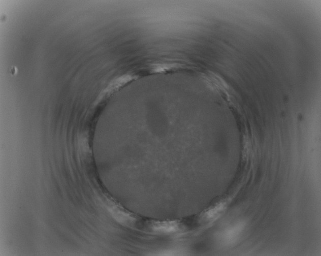 X0000062830377200601201619