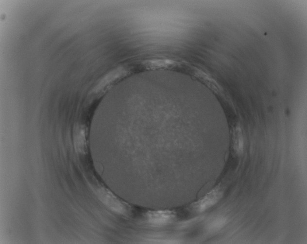 X0000062830378200601201619