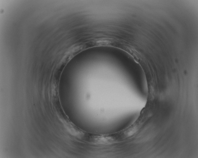 X0000062830379200601201619