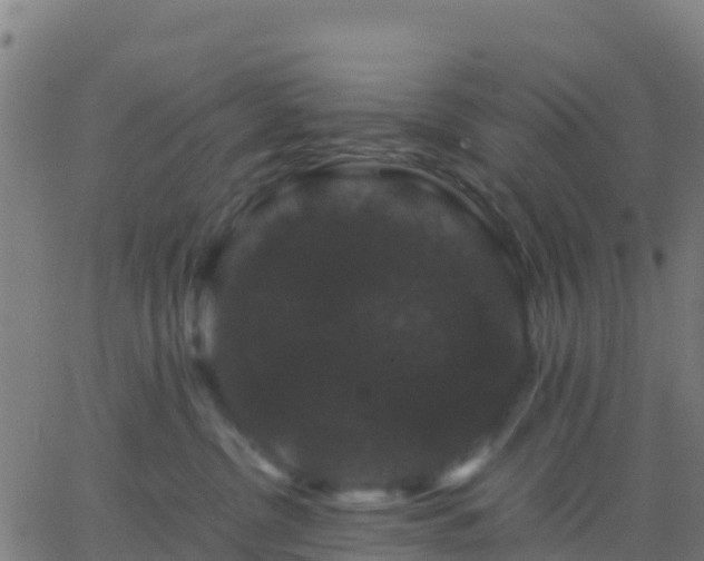 X0000062830380200601201619