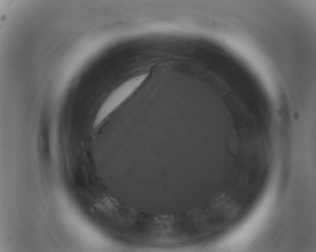 X0000062830382200601201619