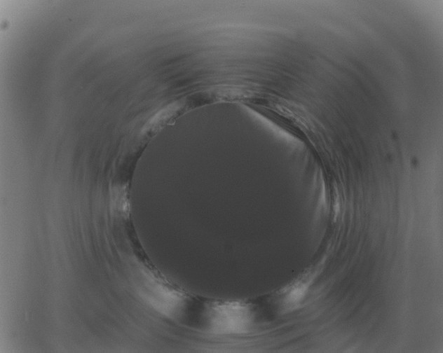 X0000062830383200601201619