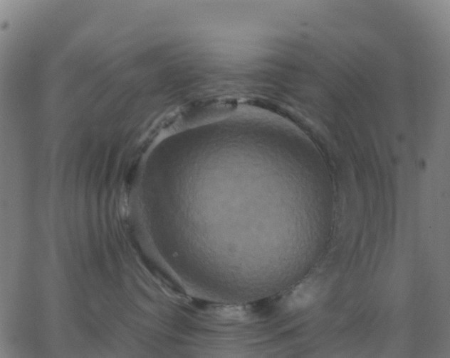 X0000062830384200601201619