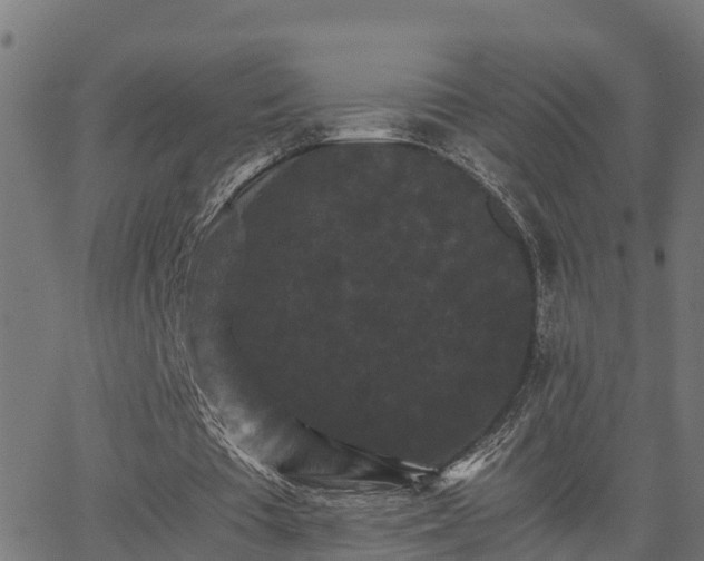 X0000062830385200601201618