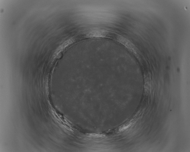 X0000062830386200601201618