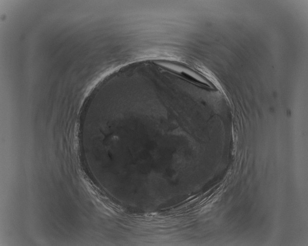 X0000062830387200601201618