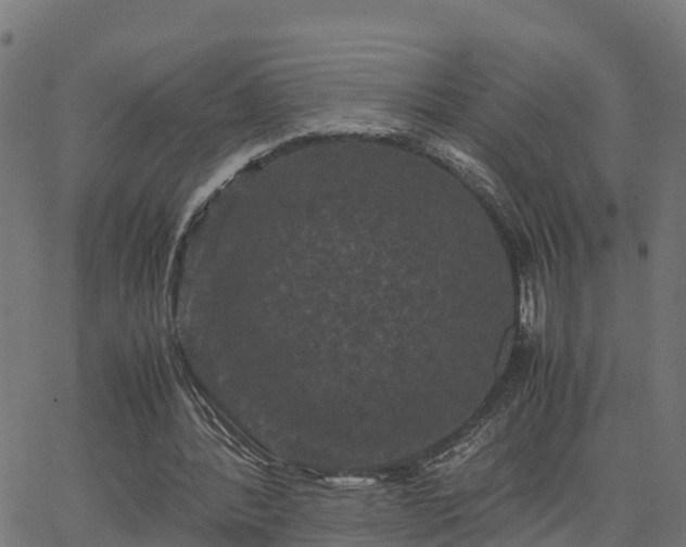 X0000062830388200601201618