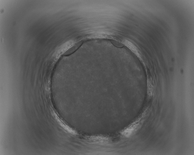 X0000062830389200601201618