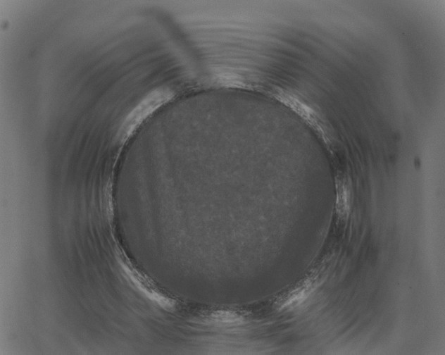 X0000062830390200601201618