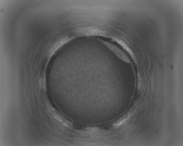 X0000062830391200601201618