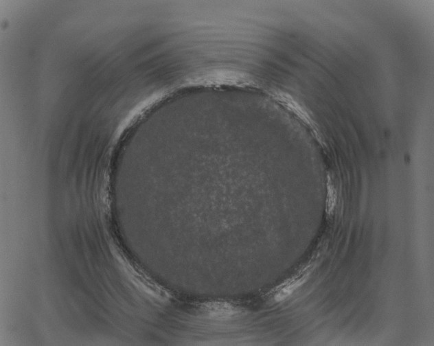 X0000062830392200601201618