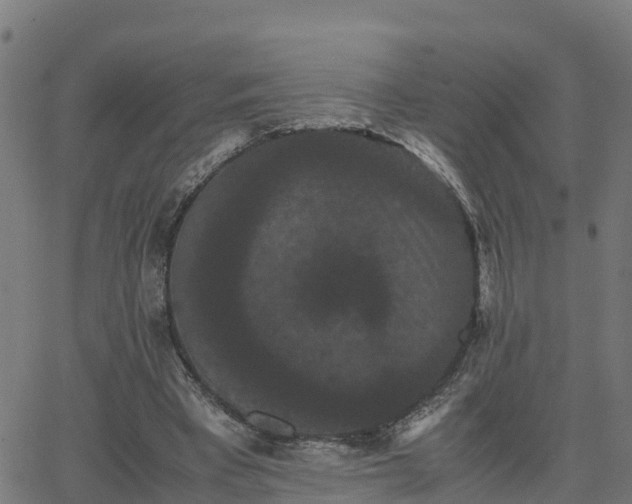 X0000062830393200601201618