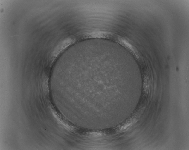 X0000062830394200601201618