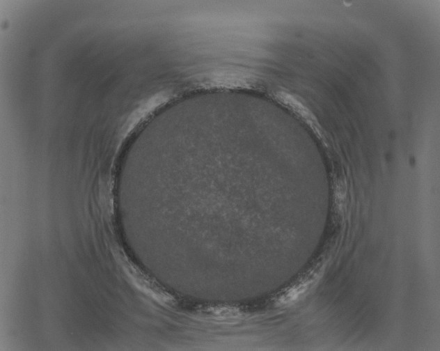 X0000062830395200601201618