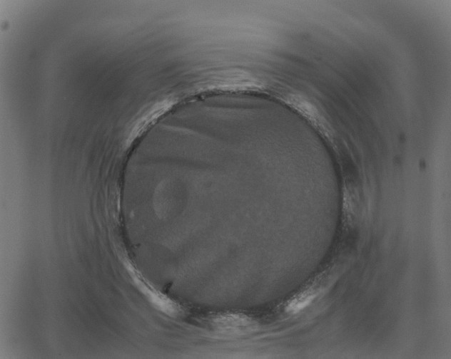 X0000062830397200601201618