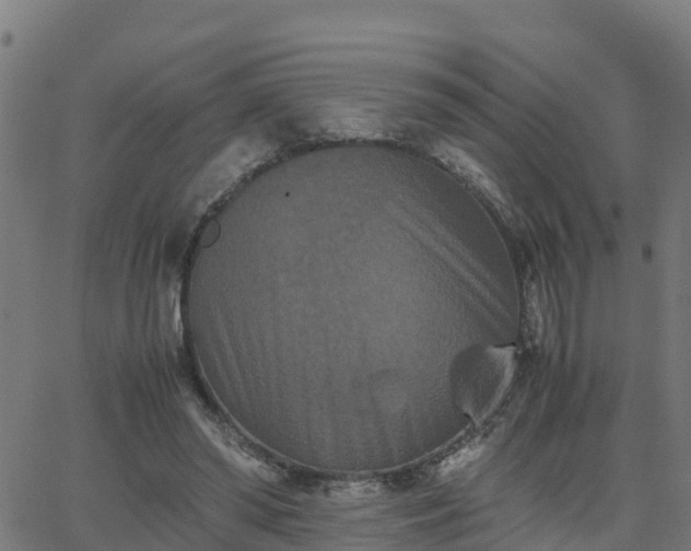 X0000062830398200601201618