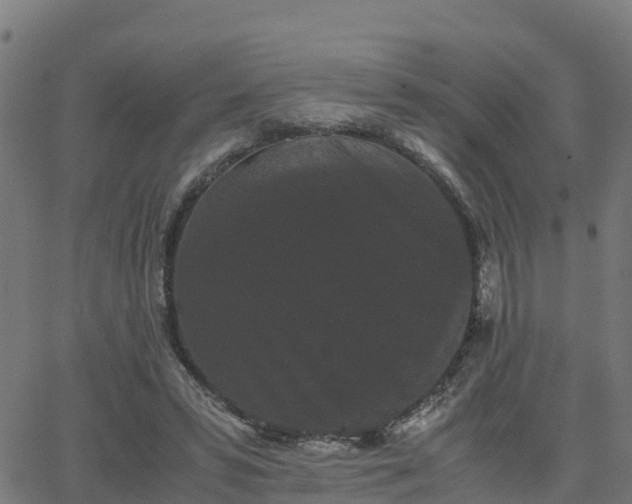 X0000062830399200601201618