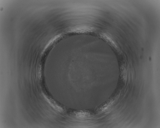 X0000062830400200601201618