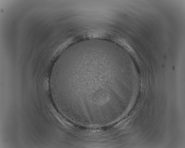 X0000062830401200601201618