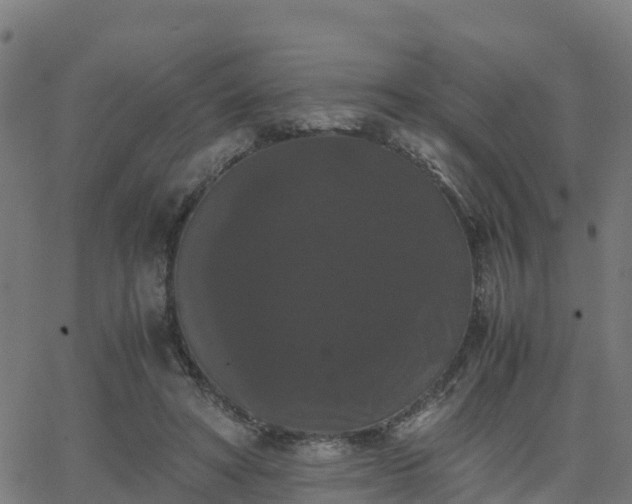 X0000062830402200601201618