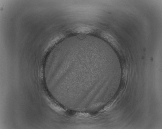 X0000062830403200601201618