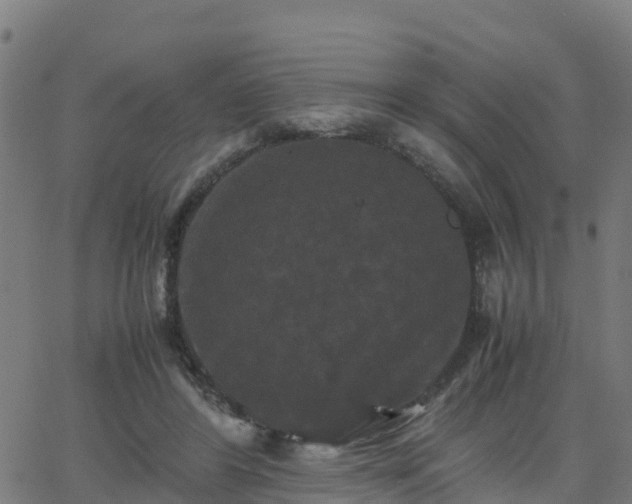 X0000062830404200601201618