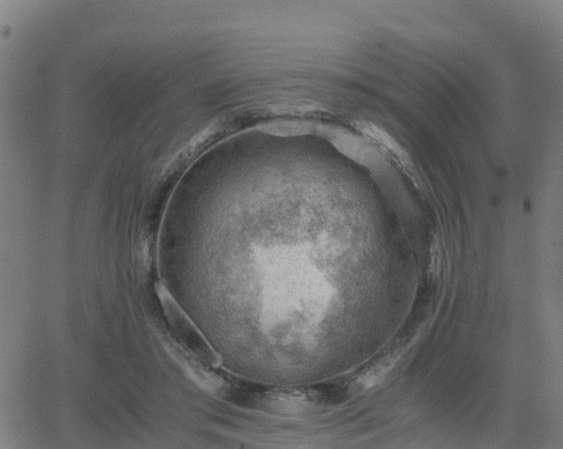 X0000062830405200601201618