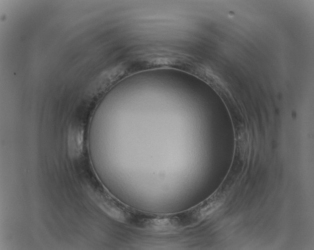 X0000062830406200601201618