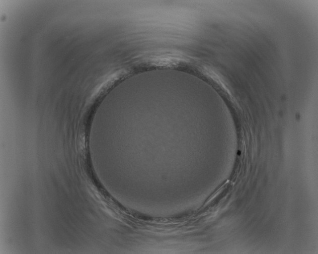 X0000062830407200601201618