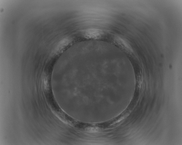 X0000062830408200601201618