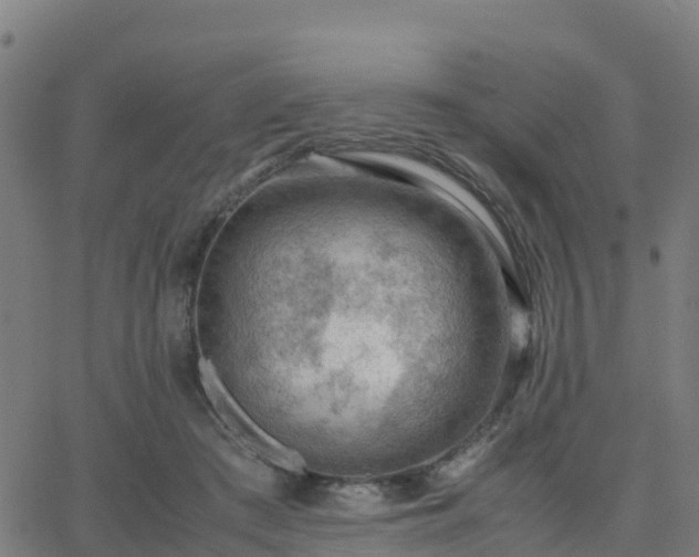 X0000062830409200601201618