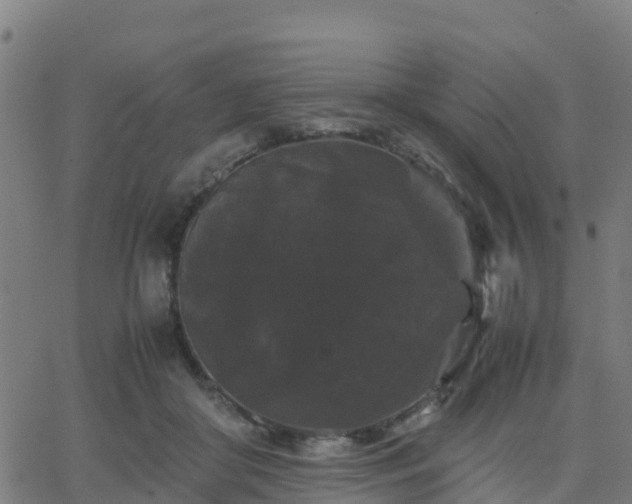 X0000062830410200601201618