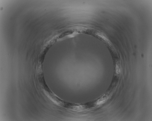 X0000062830411200601201618