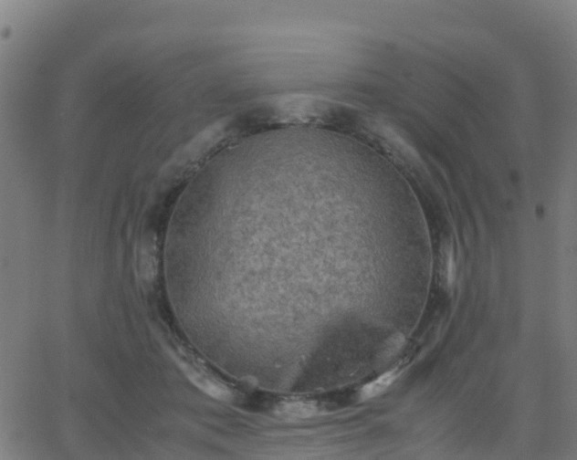 X0000062830413200601201618