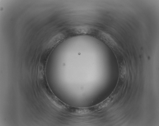 X0000062830414200601201618