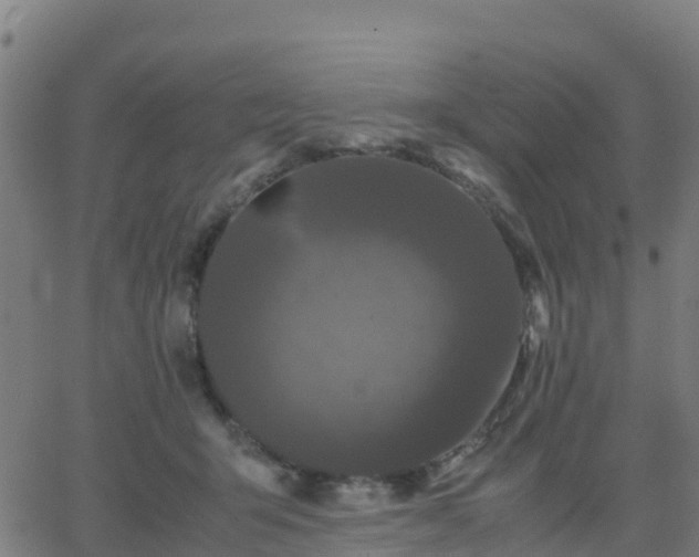 X0000062830415200601201618