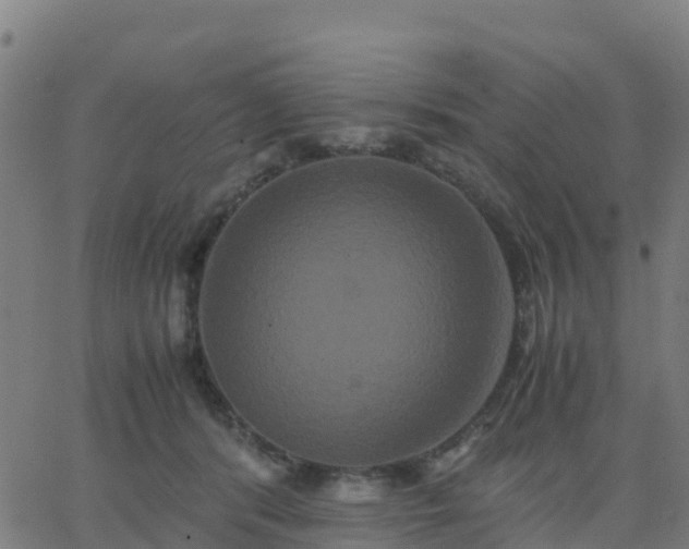 X0000062830416200601201618