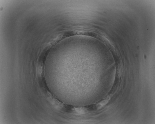 X0000062830417200601201617