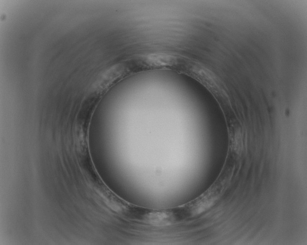 X0000062830418200601201617