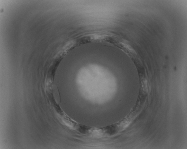 X0000062830419200601201617