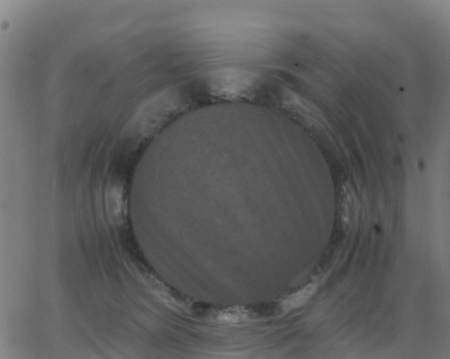 X0000062830420200601201617