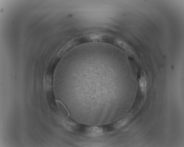 X0000062830421200601201617