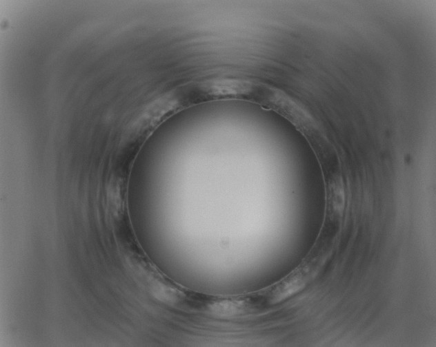 X0000062830422200601201617