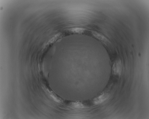 X0000062830424200601201617