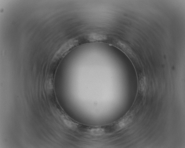 X0000062830426200601201617