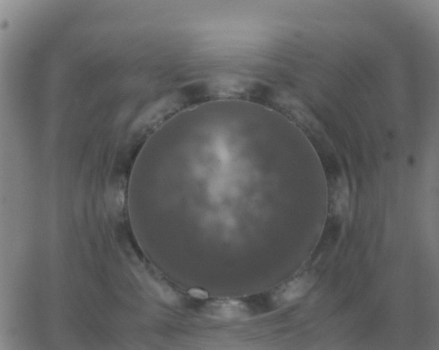 X0000062830427200601201617